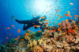 الغوص في أعماق المياة واحدة من أبرز التجارب في جزر المالديف