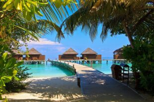 السفر بين المالديف وماليزيا