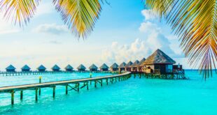 جزر المالديف بوكينج