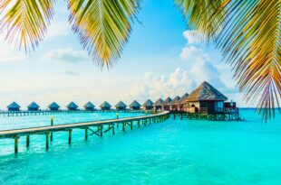 جزر المالديف بوكينج