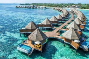 عدد جزر المالديف