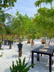Tranquila Maldives من الفنادق تسمح بالحيوانات الأليفة في جزر المالديف